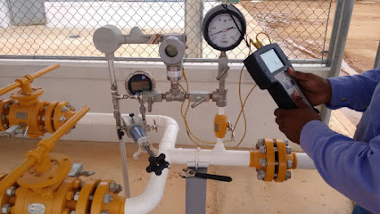 PROYECTOS AUTOMATIZADOS