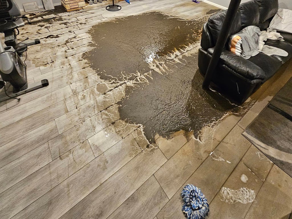 Aqua Guardian Water Restoration & Repair photo