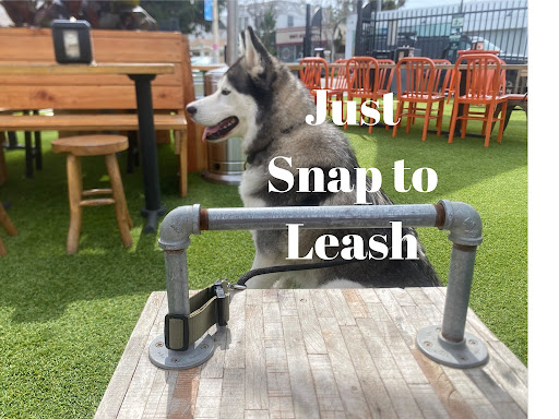 Leashsnap