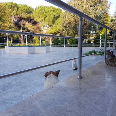 Photos of Gonen Municipality