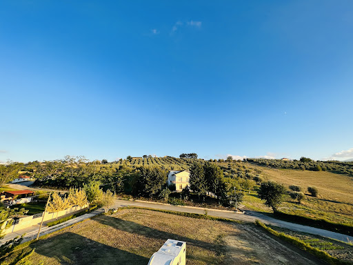 CI27 Ranch - Visual