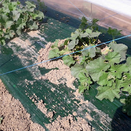 Photo n°12 de La compagnie de Maryse à Moirax (Magasin de produits de la ferme)