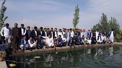Photos of Masjed Salman Fars