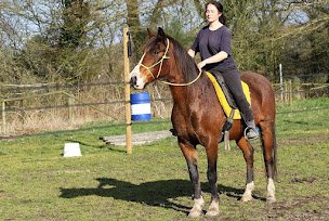 Photo n°21 de l'Arche du Phœnix à Goven (Pension pour chevaux)
