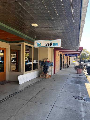 Tarpon Blue Real Estate LLC