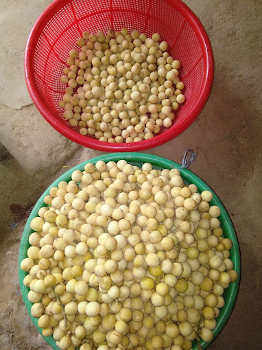 Cà Phê Anh Tý, 44 Mẹ Thứ, Tiên Châu, Tiên Phước, Quảng Nam
