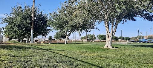 Luckie Park Skate Park