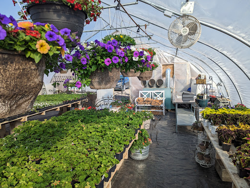 Annies Greenhouse - Thumbnail