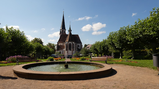 Springbrunnen im Stadtgarten - Thumbnail