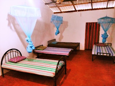 Photos of Mango Tree Homestay & Hostel