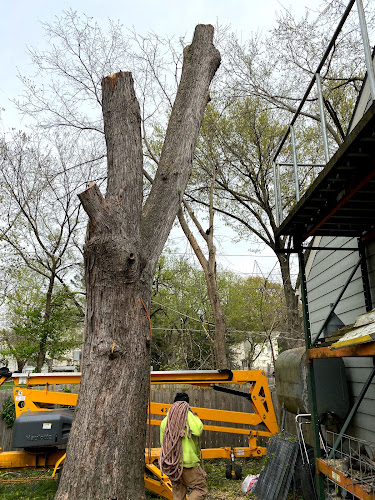 Richter's Tree Service LLC