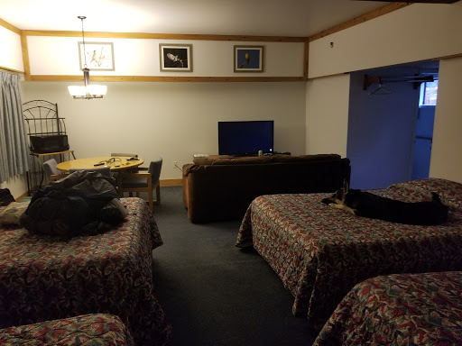 Mio Motel - Thumbnail