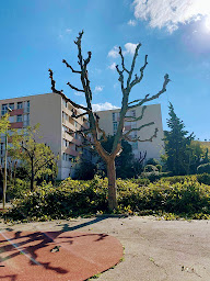 Photo n°19 de Dlm à Marseille (Jardinier)