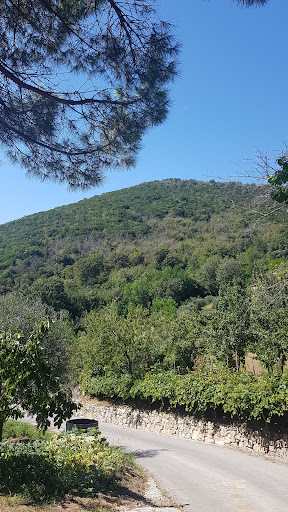 Monte Vendevolo - Visual
