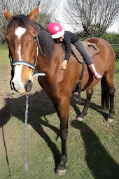 Photo n°4 de AnimaLie à Tonquédec (Centre de loisirs)