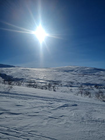 Graddis fjellstue , camping og Bobilutleie by null