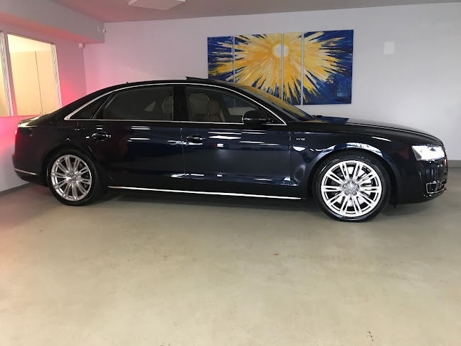 Comentarii opinii despre Bichsel Automobile GmbH