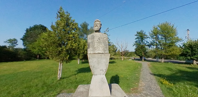 Casa Muzeu Constantin Brâncuşi - Hobiţa