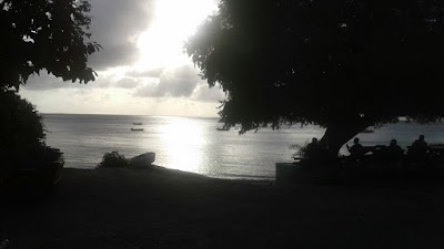 Photos of Crocus Bay