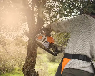 Photo n°13 de FC Elagueur 44 Clisson à Clisson (Service d'élagage)