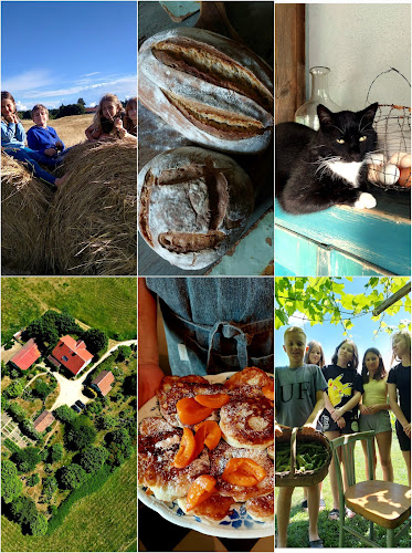 Opinii despre Agrozagadka - kameralna agroturystyka na Mazurach în Orzysz - Hotel