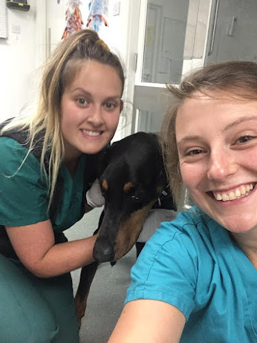 Calweton Veterinary Group, Saltash