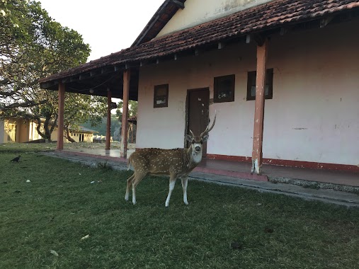 Sangamitta Buddhist Pilgrims Rest, Author: ND Bandara