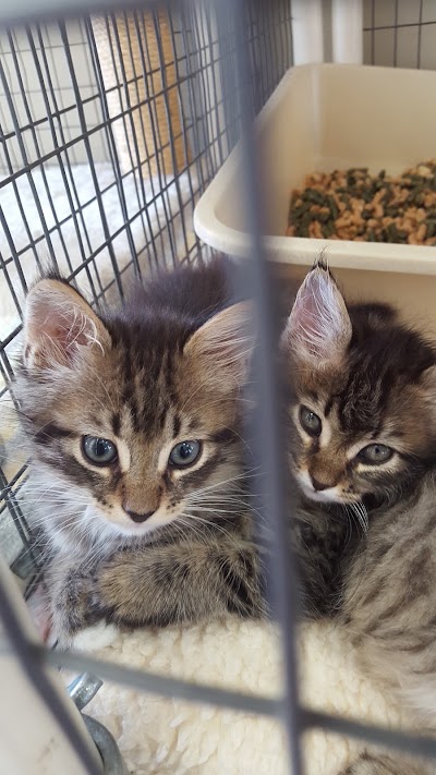 Photos of Humane Society-Ventura County
