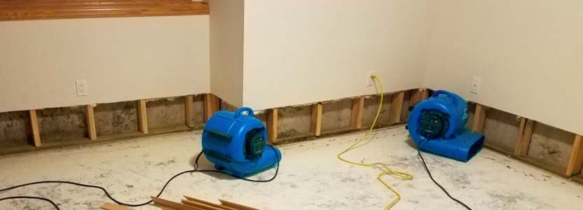Clean Environment Carpet Cleaning & Water Removal Service - 24/7 Water Cleanup photo