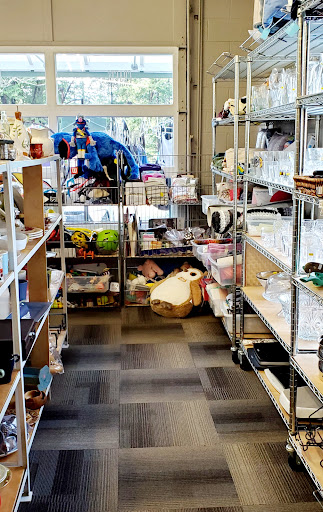 S.A.V.E. Thrift Store - Visual