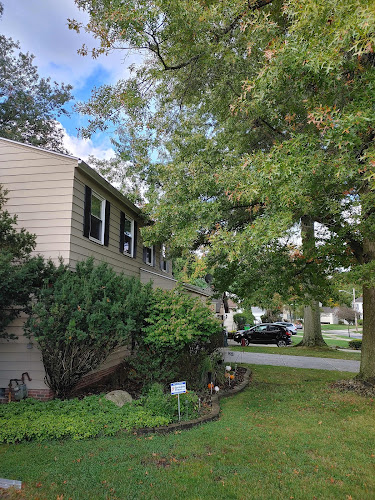 Supreme tree solutions llc