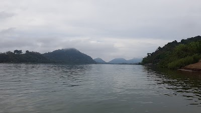 Photos of Irrawaddy Dolphins