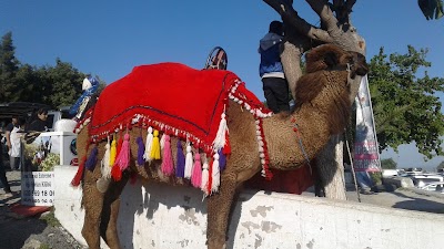 Eshab-kehf Mesire Alanı