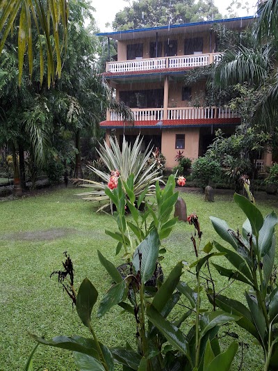 Photos of Jungle View Restaurant