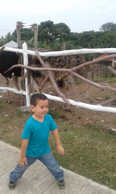 Photos of Joya Grande Zoo