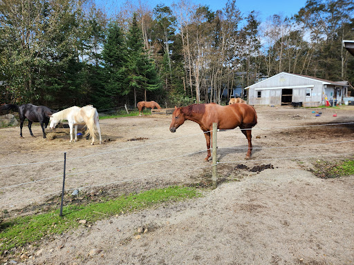 Integrity's Haven Equine (Animal) Rescue Centre - Thumbnail