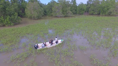 Photos of Mangrove Munjang Kurau Barat