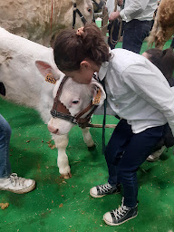 Photo n°11 de La triplette charoline à Noailly (Ferme pédagogique)