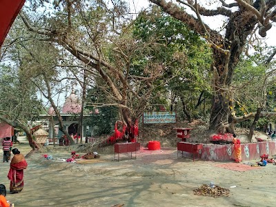 Sri Sri Meher Kali Bari, Chittagong (+880 1715-736595)