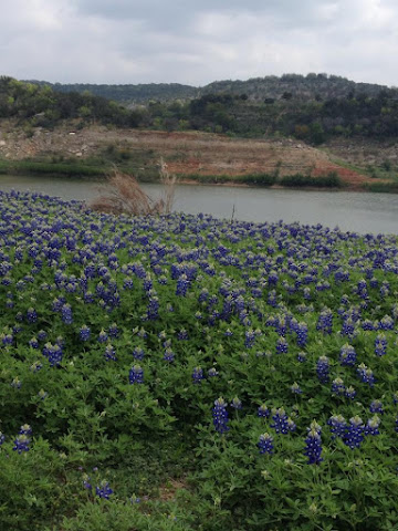 Chez J Rustic Restful Retreat by null