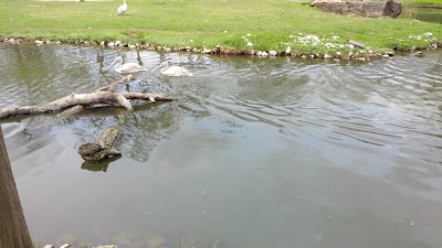 Photos of Fort Worth Zoo