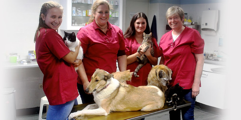 Kleintierpraxis im Steenkamp photo