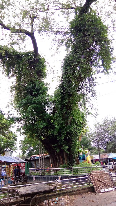 Photos of Susanto Tea Stall
