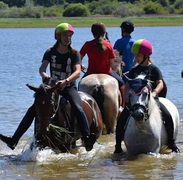 Photo n°22 de HARAS D AMELONE C E LES JONCS à Griselles (Club d'équitation)