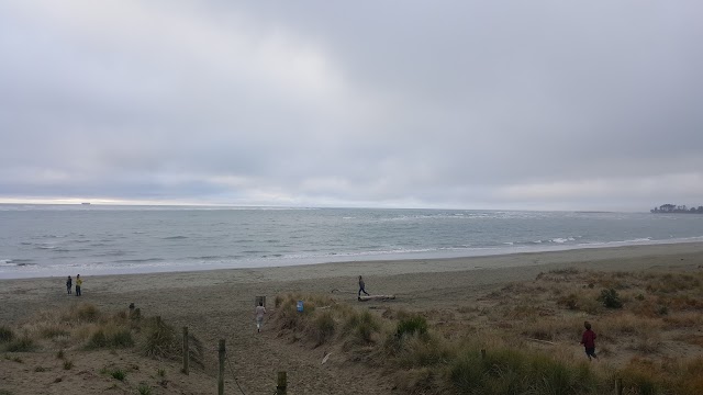 Tahunanui Beach