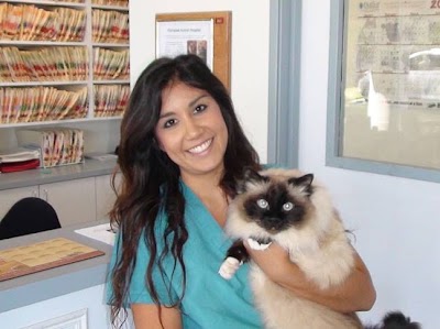 Photos of Olympiad Animal Hospital