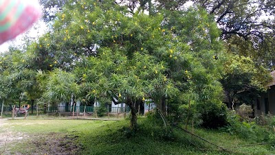 Photos of Monohorgonj Post Office