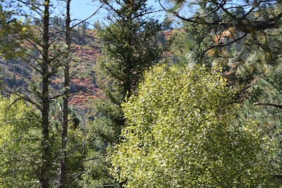 Holy Ghost Campground