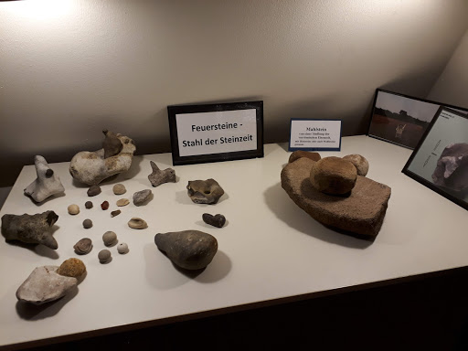 Archäologisches Museum Oldendorf/Luhe (AMOL) - Thumbnail