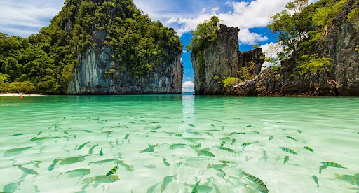 Net Tours Asia